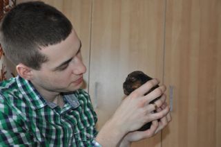 Jamniki d�ugow�ose